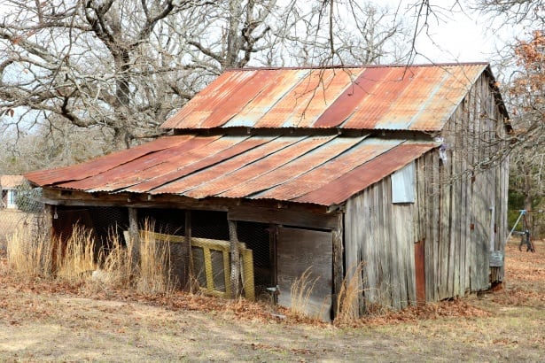 You are currently viewing Shed Visit – Roger Herrick / Neil Tolich