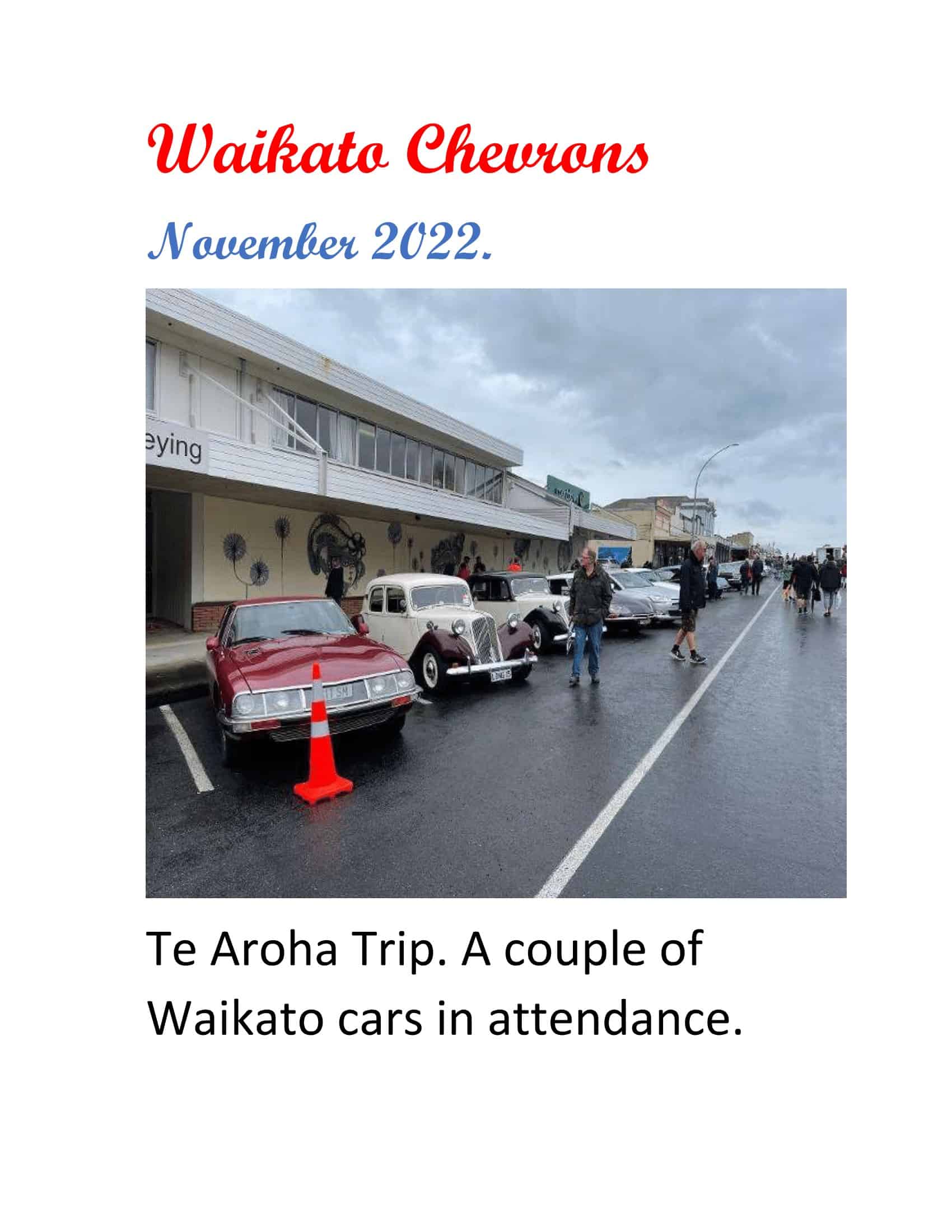 Read more about the article Waikato Chevrons November 2022