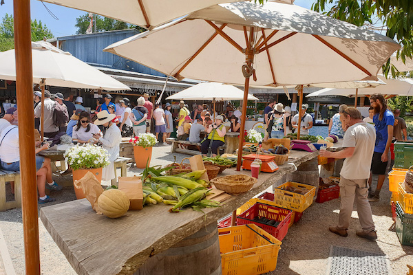 You are currently viewing Day Trip to Matakana Market