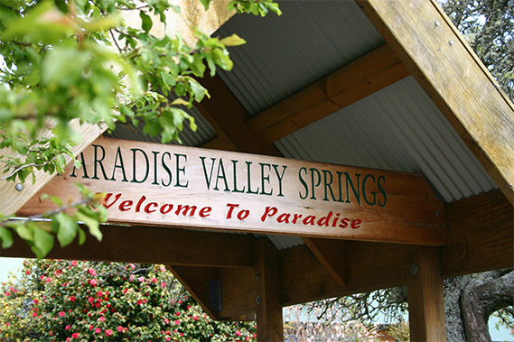 You are currently viewing Paradise Valley Springs