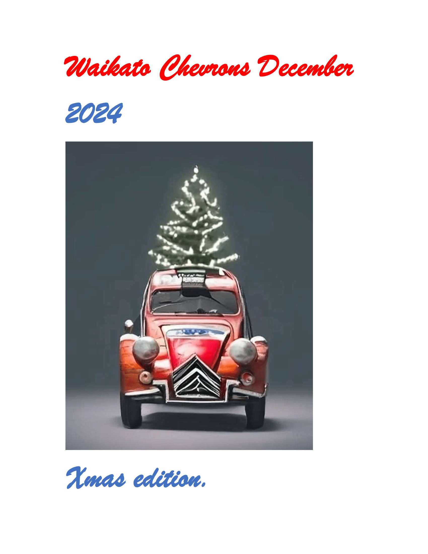 Read more about the article Waikato Chevrons December 2024