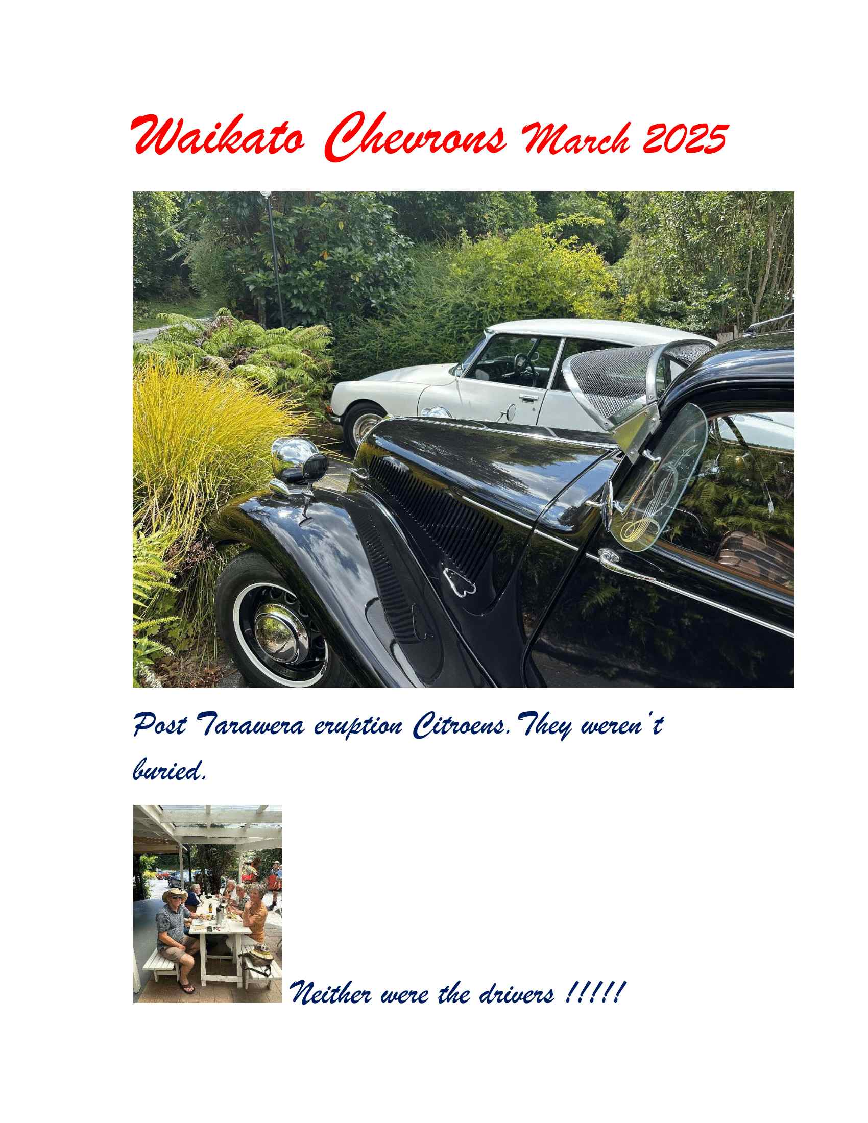 Read more about the article Waikato Chevrons March 2025